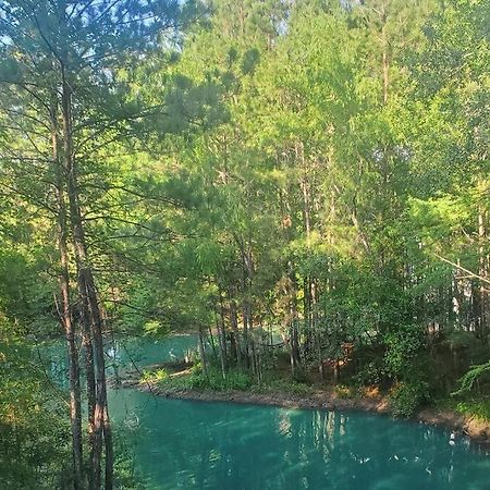 Waterfront Treehouse In A Magical Forest Waller Extérieur photo