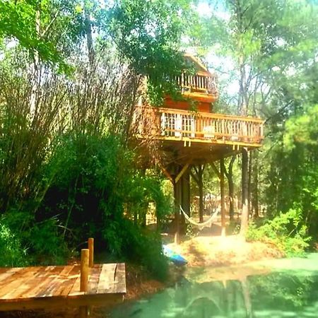 Waterfront Treehouse In A Magical Forest Waller Extérieur photo