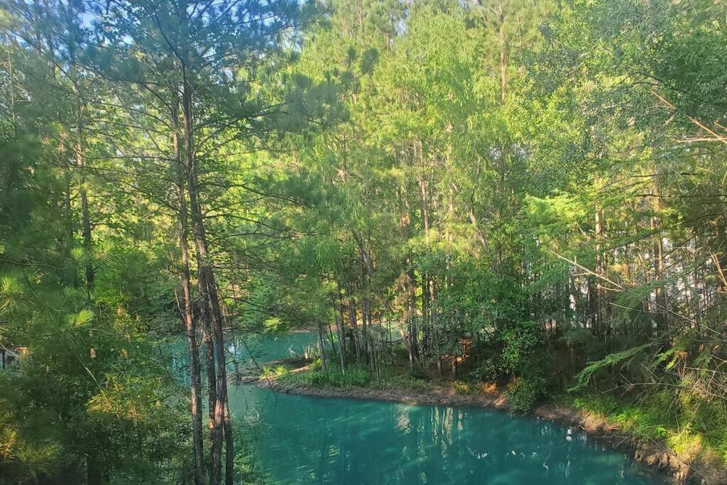 Waterfront Treehouse In A Magical Forest Waller Extérieur photo