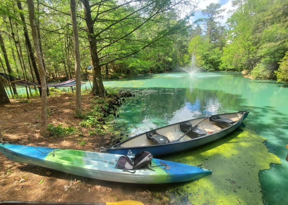 Waterfront Treehouse In A Magical Forest Waller Extérieur photo