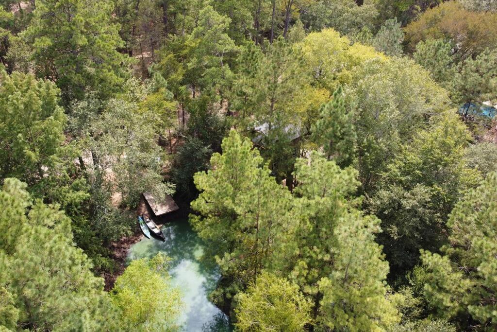 Waterfront Treehouse In A Magical Forest Waller Extérieur photo